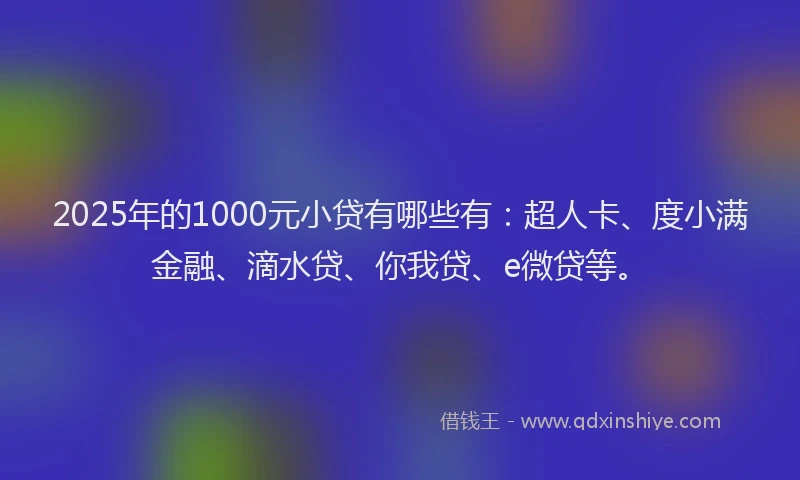 2025年的1000元小贷有哪些有：超人卡、度小满金融、滴水贷、你我贷、e微贷等。