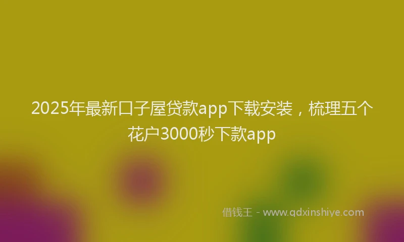 2025年最新口子屋贷款app下载安装，梳理五个花户3000秒下款app