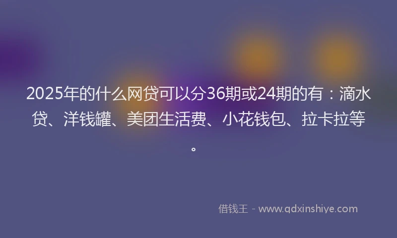 2025年的什么网贷可以分36期或24期的有：滴水贷、洋钱罐、美团生活费、小花钱包、拉卡拉等。