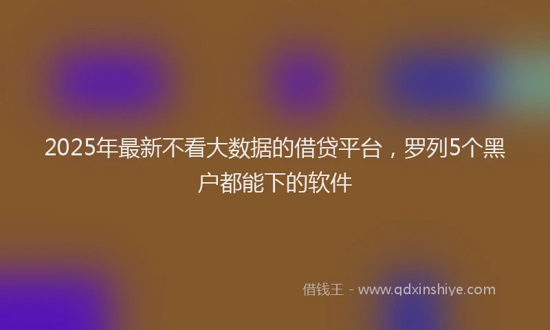 2025年最新不看大数据的借贷平台，罗列5个黑户都能下的软件