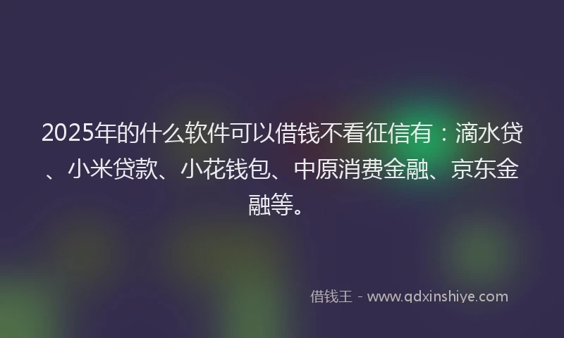 2025年的什么软件可以借钱不看征信有：滴水贷、小米贷款、小花钱包、中原消费金融、京东金融等。