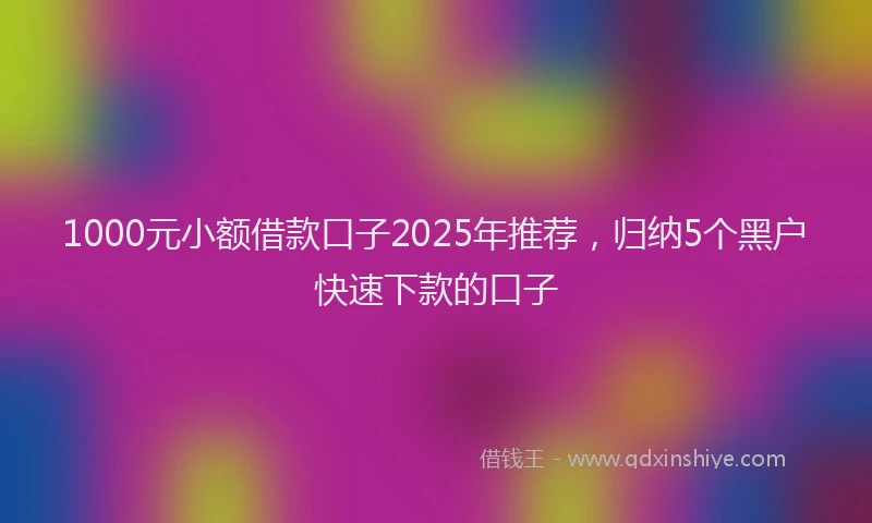 1000元小额借款口子2025年推荐，归纳5个黑户快速下款的口子