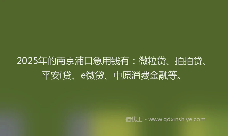 2025年的南京浦口急用钱有：微粒贷、拍拍贷、平安i贷、e微贷、中原消费金融等。