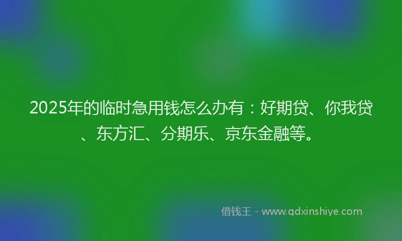 2025年的临时急用钱怎么办有：好期贷、你我贷、东方汇、分期乐、京东金融等。