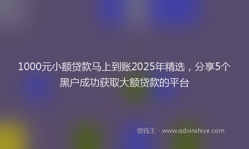 1000元小额贷款马上到账2025年精选，分享5个黑户成功获取大额贷款的平台