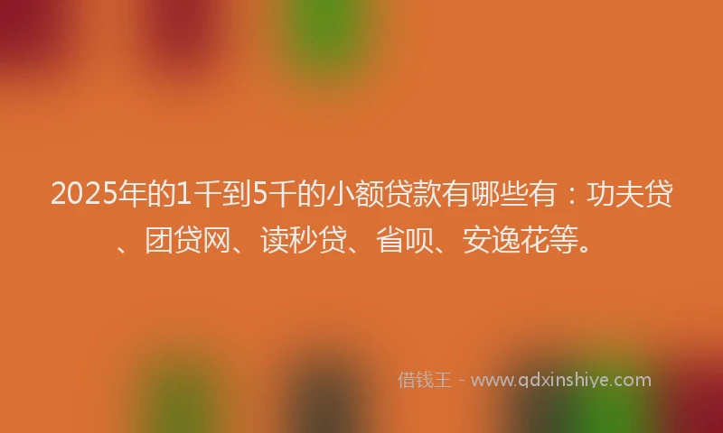 2025年的1千到5千的小额贷款有哪些有：功夫贷、团贷网、读秒贷、省呗、安逸花等。