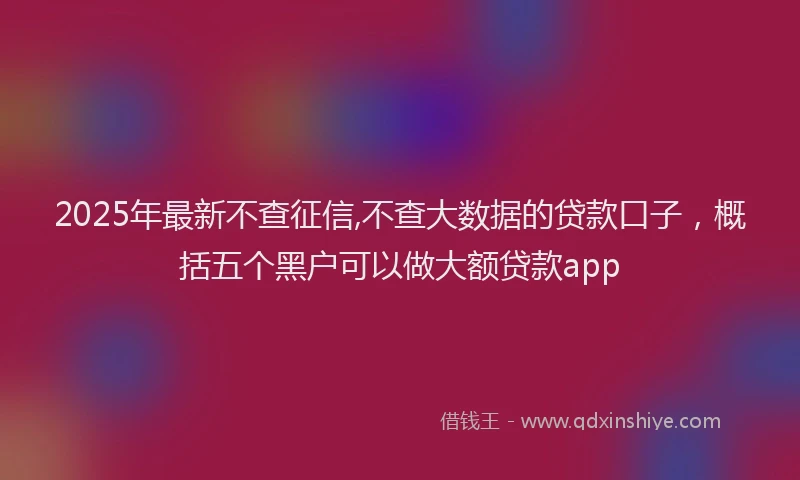 2025年最新不查征信,不查大数据的贷款口子，概括五个黑户可以做大额贷款app