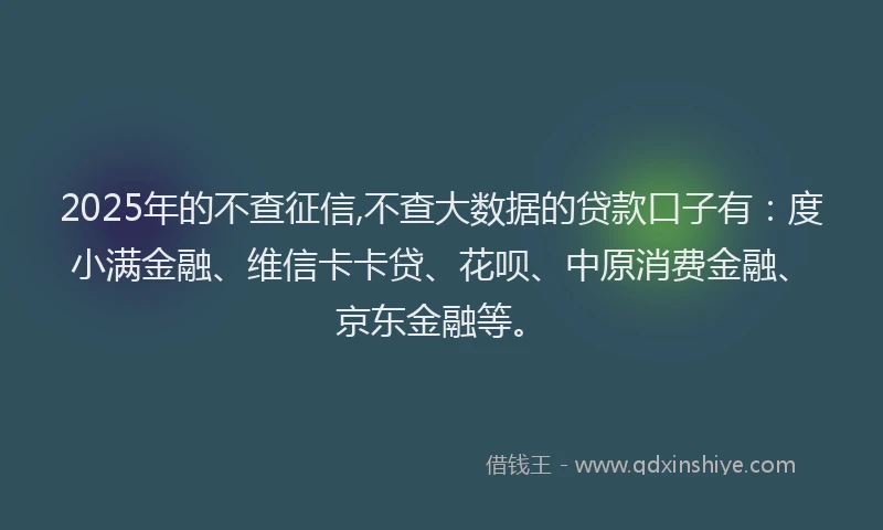 2025年的不查征信,不查大数据的贷款口子有：度小满金融、维信卡卡贷、花呗、中原消费金融、京东金融等。