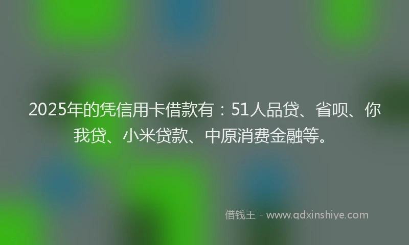 2025年的凭信用卡借款有：51人品贷、省呗、你我贷、小米贷款、中原消费金融等。