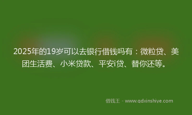 2025年的19岁可以去银行借钱吗有：微粒贷、美团生活费、小米贷款、平安i贷、替你还等。