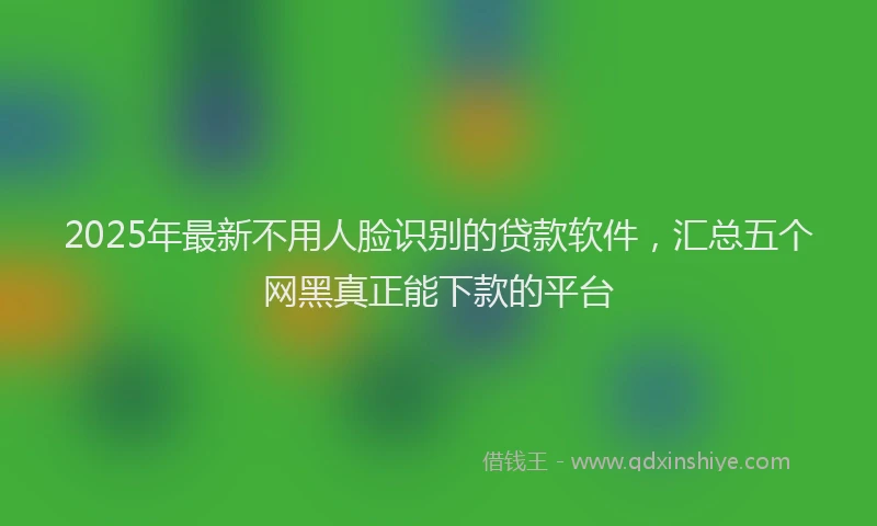 2025年最新不用人脸识别的贷款软件，汇总五个网黑真正能下款的平台