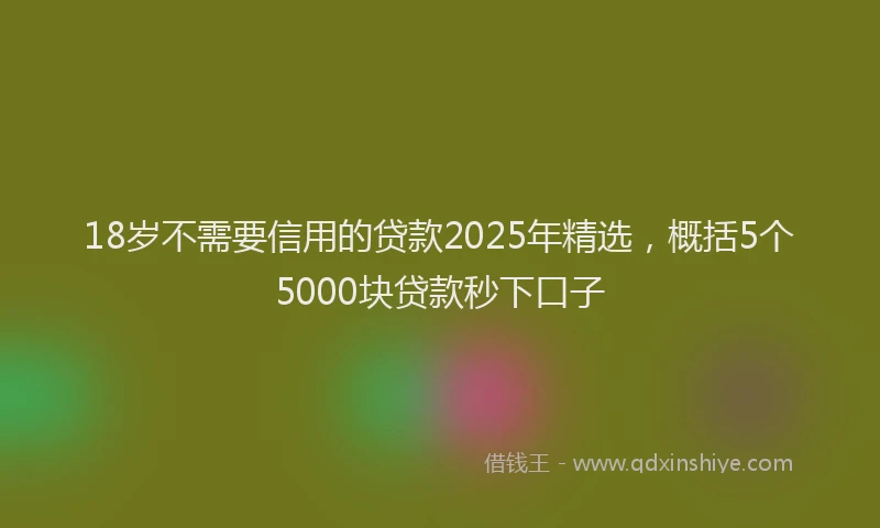 18岁不需要信用的贷款2025年精选，概括5个5000块贷款秒下口子