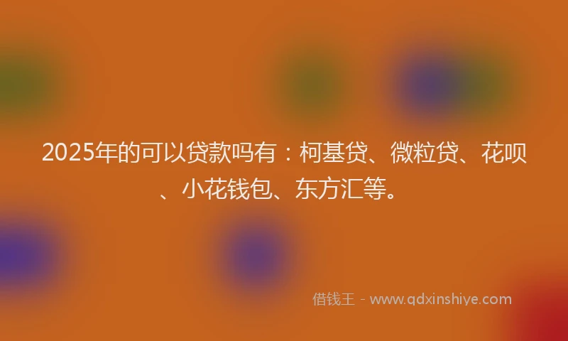2025年的可以贷款吗有：柯基贷、微粒贷、花呗、小花钱包、东方汇等。