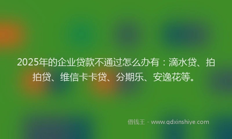 2025年的企业贷款不通过怎么办有：滴水贷、拍拍贷、维信卡卡贷、分期乐、安逸花等。