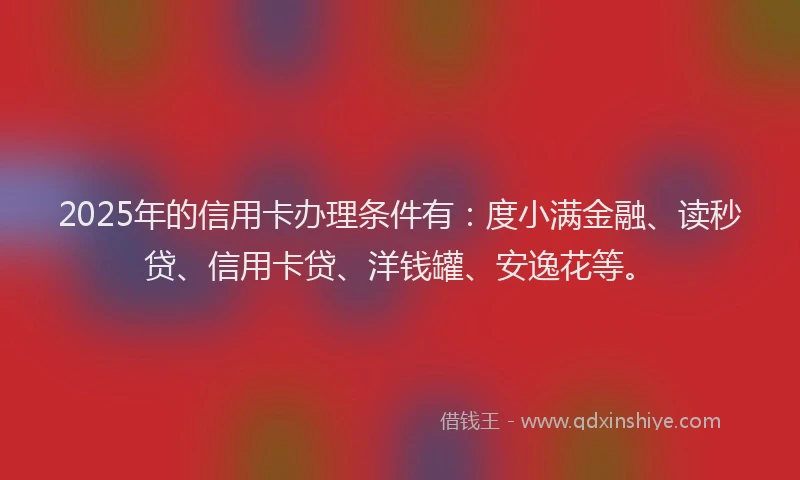 2025年的信用卡办理条件有：度小满金融、读秒贷、信用卡贷、洋钱罐、安逸花等。