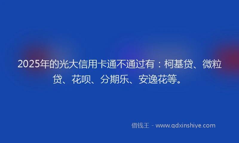 2025年的光大信用卡通不通过有：柯基贷、微粒贷、花呗、分期乐、安逸花等。