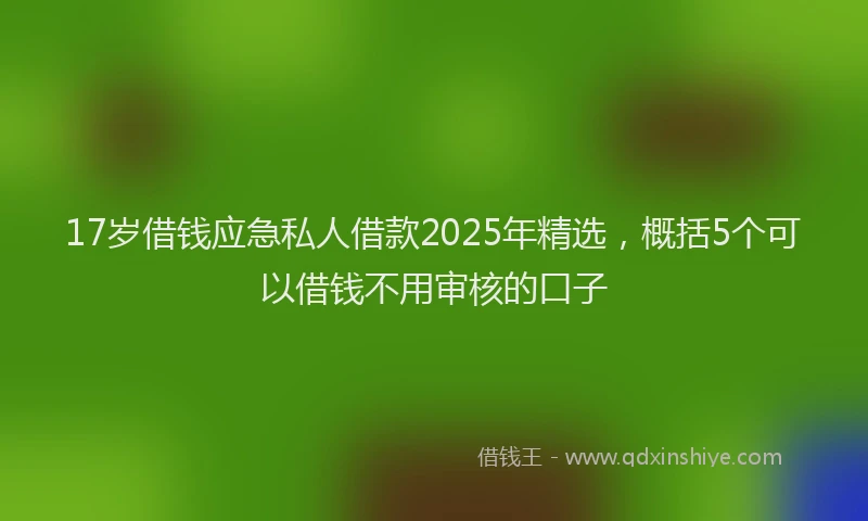 17岁借钱应急私人借款2025年精选，概括5个可以借钱不用审核的口子