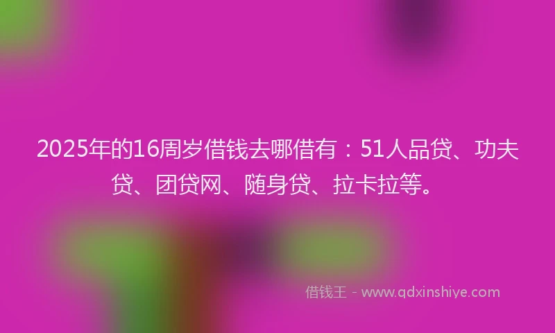 2025年的16周岁借钱去哪借有：51人品贷、功夫贷、团贷网、随身贷、拉卡拉等。