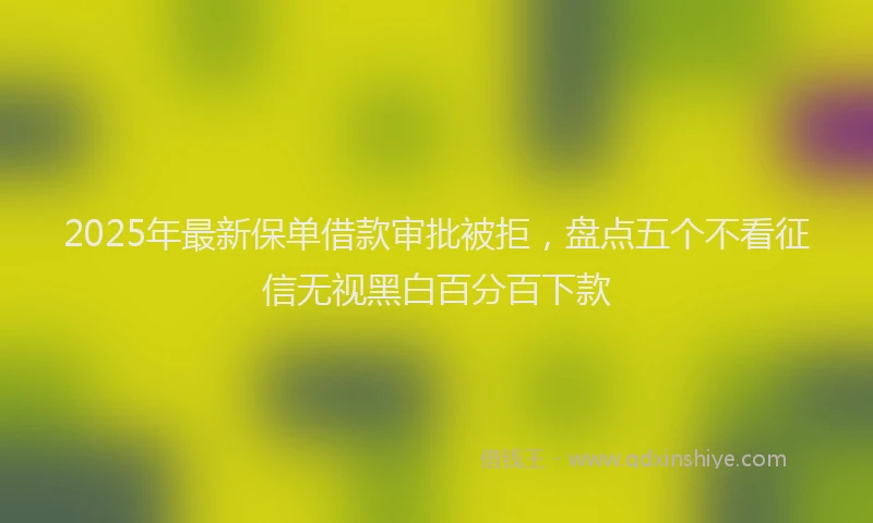 2025年最新保单借款审批被拒，盘点五个不看征信无视黑白百分百下款