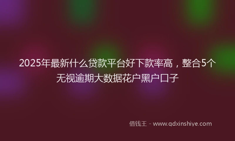 2025年最新什么贷款平台好下款率高，整合5个无视逾期大数据花户黑户口子