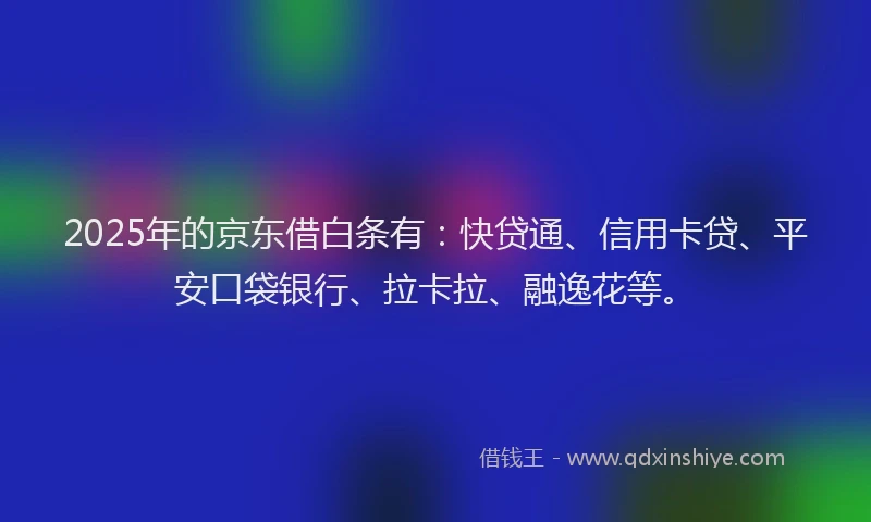 2025年的京东借白条有：快贷通、信用卡贷、平安口袋银行、拉卡拉、融逸花等。
