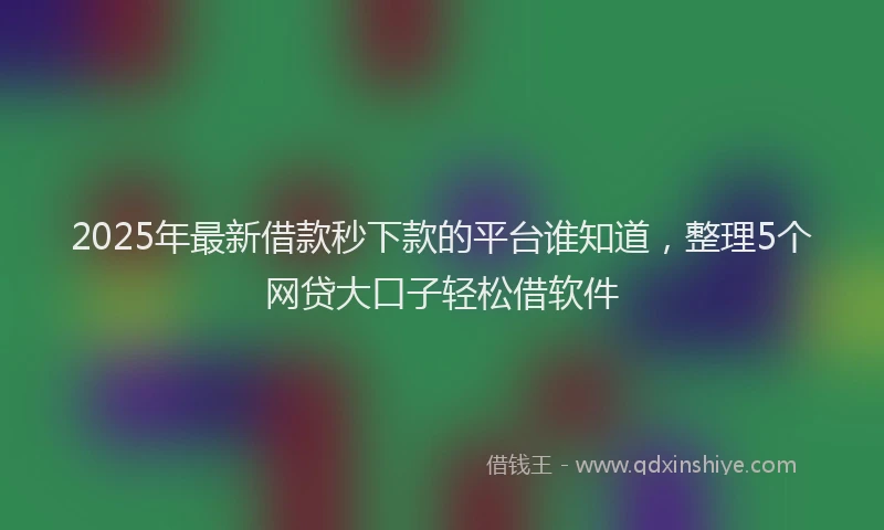 2025年最新借款秒下款的平台谁知道，整理5个网贷大口子轻松借软件