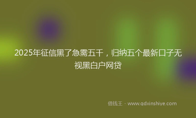 2025年征信黑了急需五千，归纳五个最新口子无视黑白户网贷