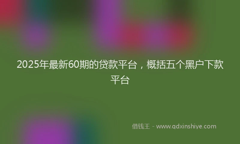2025年最新60期的贷款平台，概括五个黑户下款平台