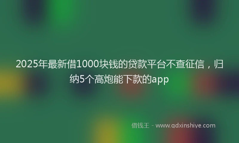 2025年最新借1000块钱的贷款平台不查征信，归纳5个高炮能下款的app