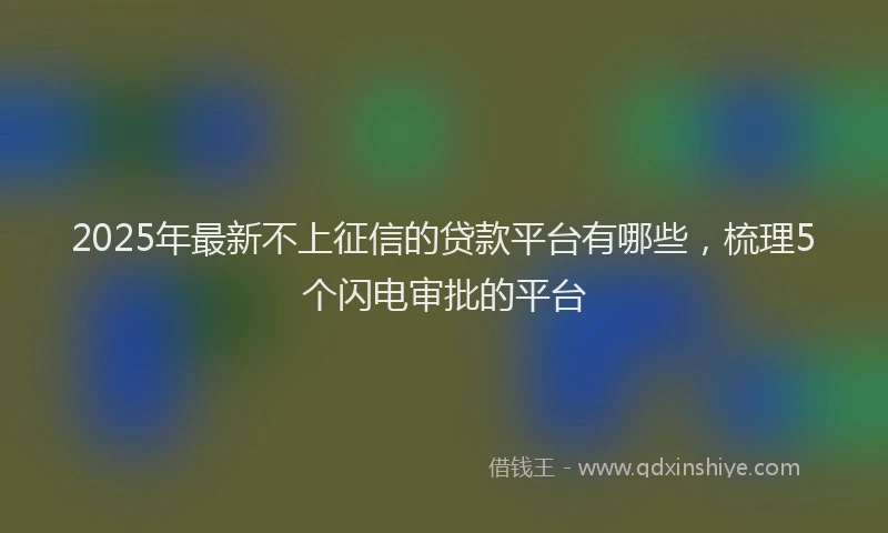 2025年最新不上征信的贷款平台有哪些，梳理5个闪电审批的平台