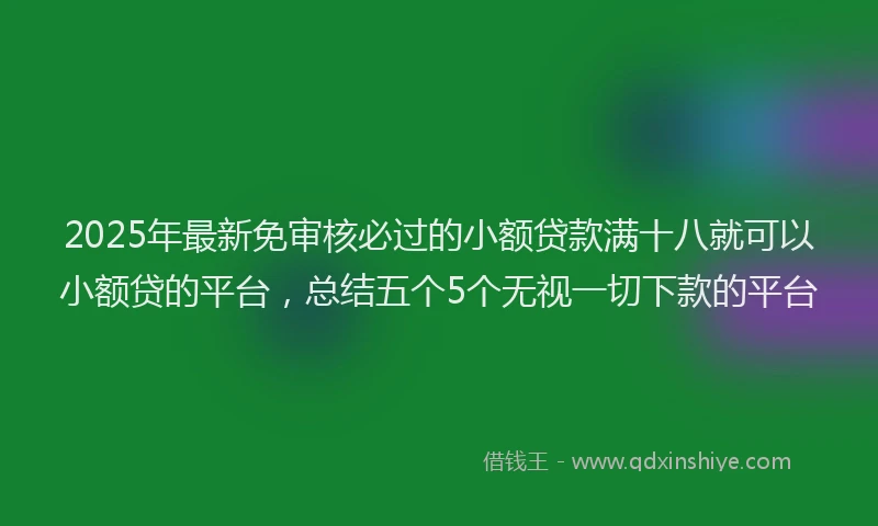 2025年最新免审核必过的小额贷款满十八就可以小额贷的平台，总结五个5个无视一切下款的平台