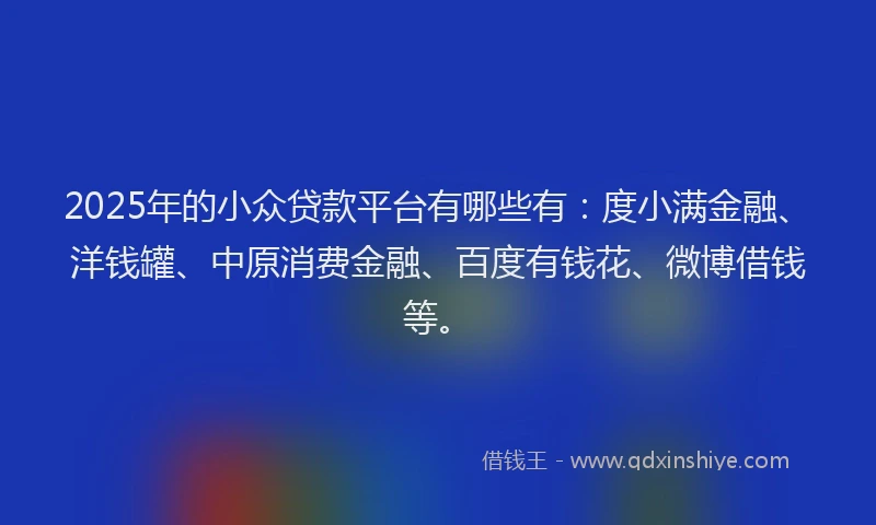 2025年的小众贷款平台有哪些有：度小满金融、洋钱罐、中原消费金融、百度有钱花、微博借钱等。