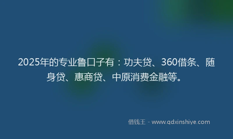 2025年的专业鲁口子有：功夫贷、360借条、随身贷、惠商贷、中原消费金融等。