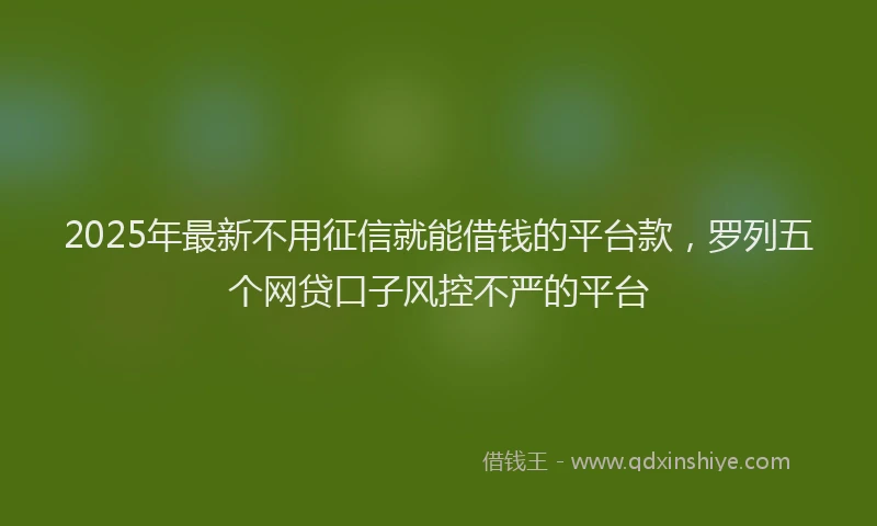 2025年最新不用征信就能借钱的平台款，罗列五个网贷口子风控不严的平台