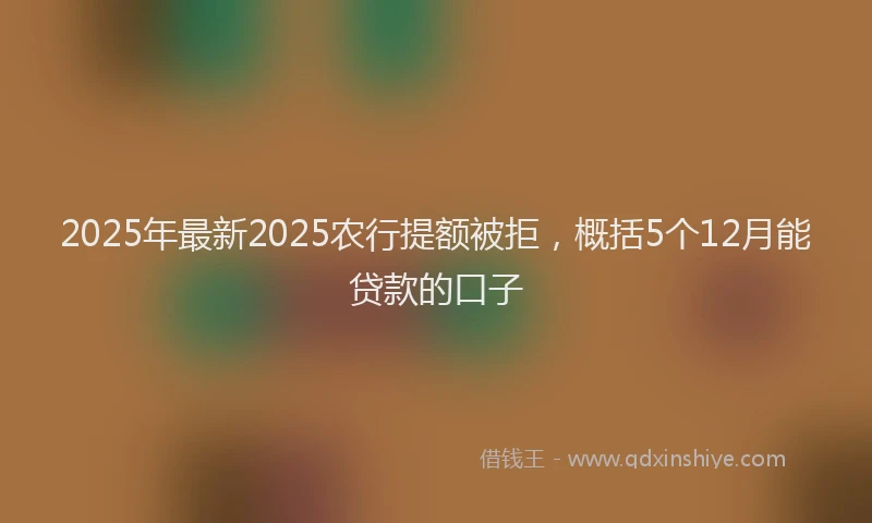 2025年最新2025农行提额被拒，概括5个12月能贷款的口子