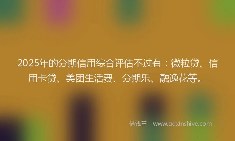 2025年的分期信用综合评估不过有：微粒贷、信用卡贷、美团生活费、分期乐、融逸花等。
