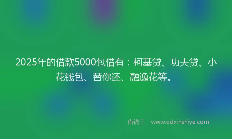 2025年的借款5000包借有：柯基贷、功夫贷、小花钱包、替你还、融逸花等。