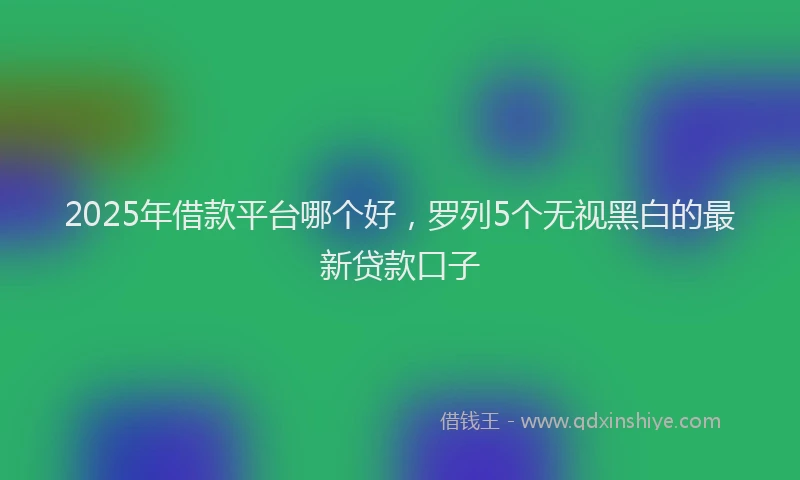 2025年借款平台哪个好，罗列5个无视黑白的最新贷款口子