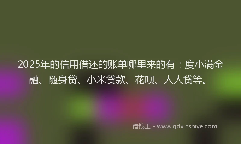 2025年的信用借还的账单哪里来的有：度小满金融、随身贷、小米贷款、花呗、人人贷等。