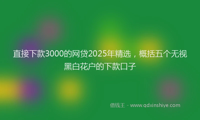 直接下款3000的网贷2025年精选，概括五个无视黑白花户的下款口子