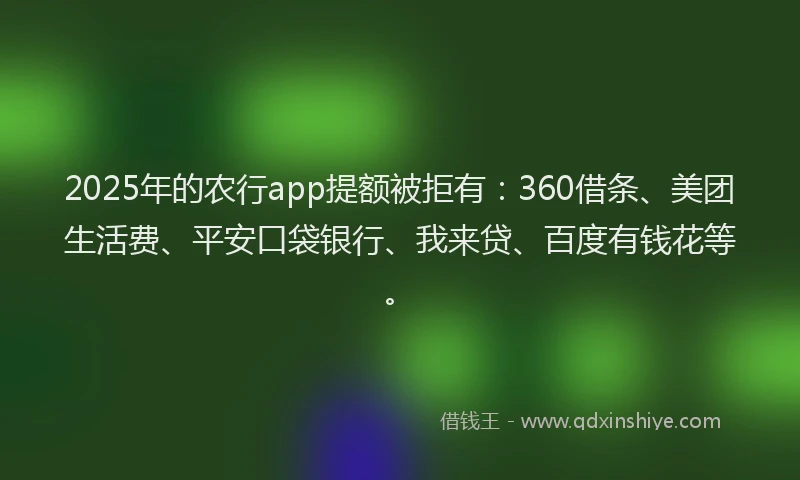 2025年的农行app提额被拒有：360借条、美团生活费、平安口袋银行、我来贷、百度有钱花等。