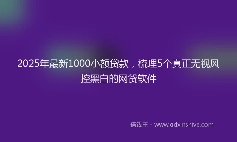2025年最新1000小额贷款，梳理5个真正无视风控黑白的网贷软件