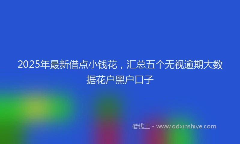 2025年最新借点小钱花，汇总五个无视逾期大数据花户黑户口子