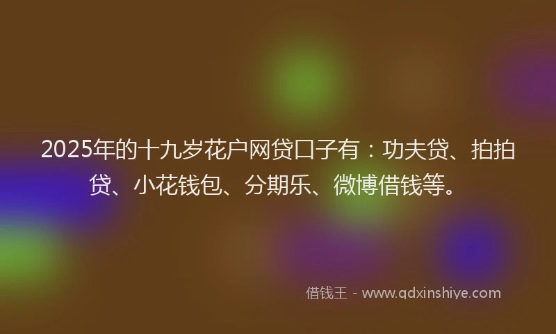 2025年的十九岁花户网贷口子有：功夫贷、拍拍贷、小花钱包、分期乐、微博借钱等。