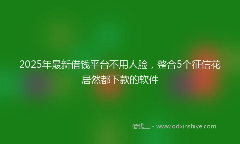 2025年最新借钱平台不用人脸，整合5个征信花居然都下款的软件