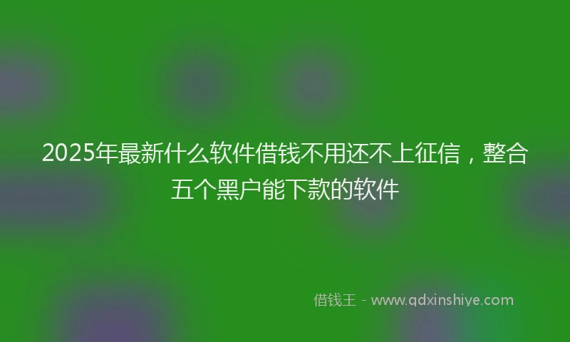 2025年最新什么软件借钱不用还不上征信，整合五个黑户能下款的软件