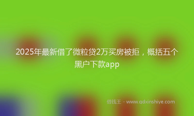 2025年最新借了微粒贷2万买房被拒，概括五个黑户下款app
