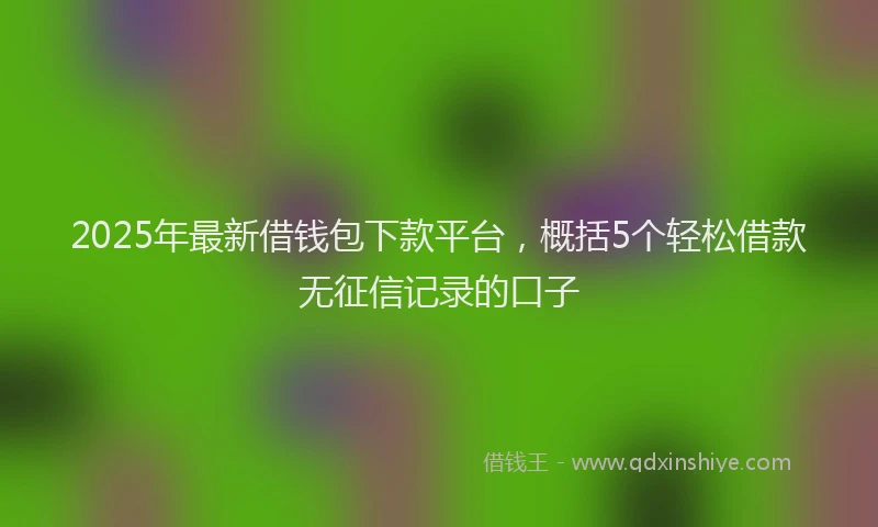 2025年最新借钱包下款平台，概括5个轻松借款无征信记录的口子