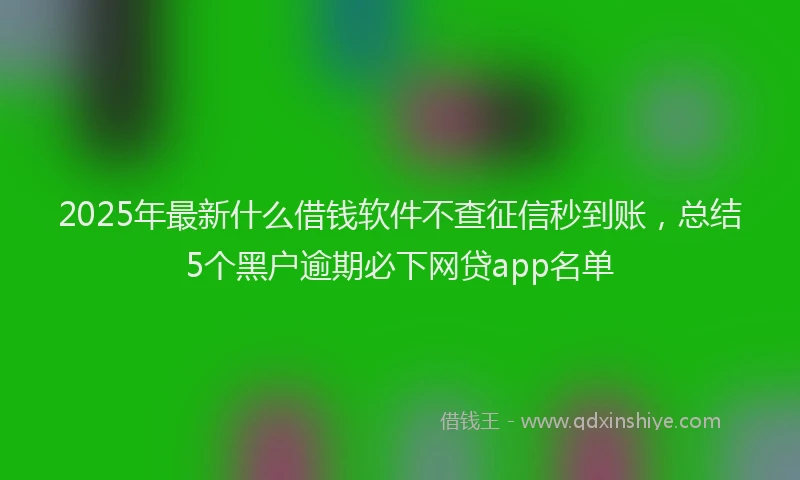 2025年最新什么借钱软件不查征信秒到账，总结5个黑户逾期必下网贷app名单