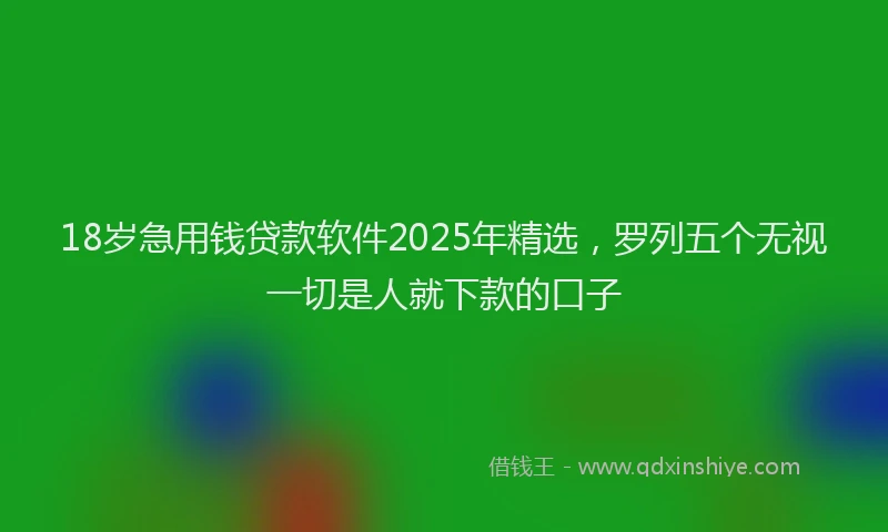 18岁急用钱贷款软件2025年精选，罗列五个无视一切是人就下款的口子
